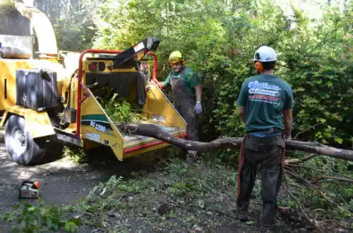 tree services Coggon